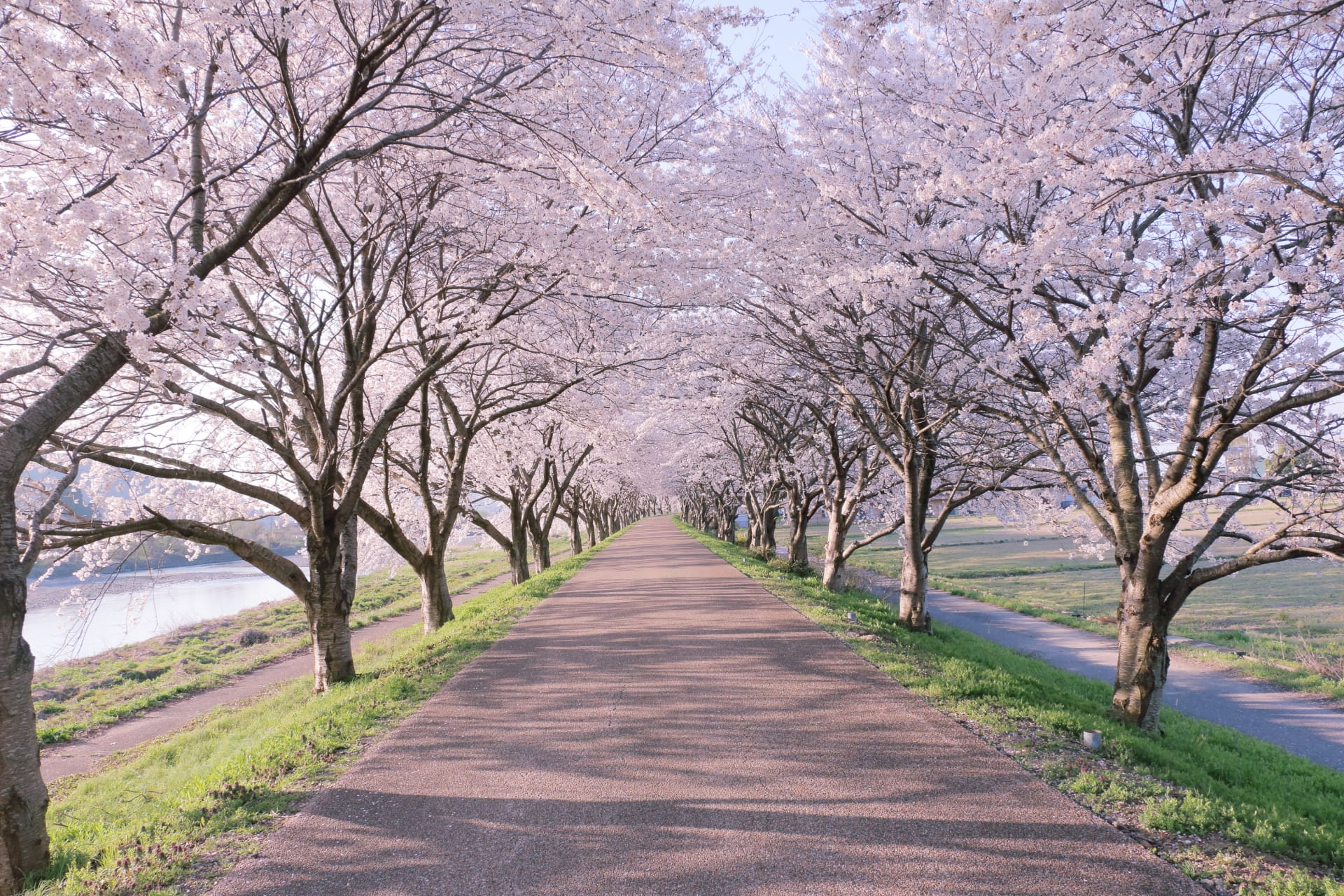 2026年 春の教室状況のお知らせ